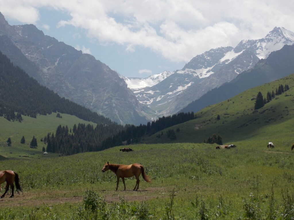 Кара-Шоро айыл өкмөтүнүн веб сайты түзүлдү